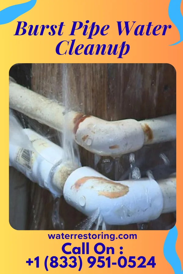 Burst Pipe Water Cleanup in Rossmoor, NJ