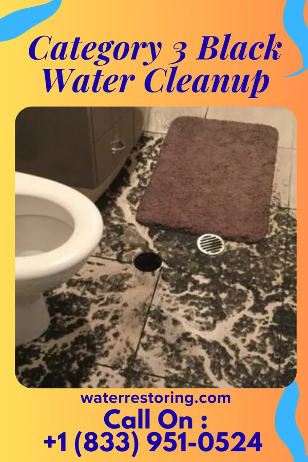 Category 3 Black Water Cleanup in Rossmoor, NJ
