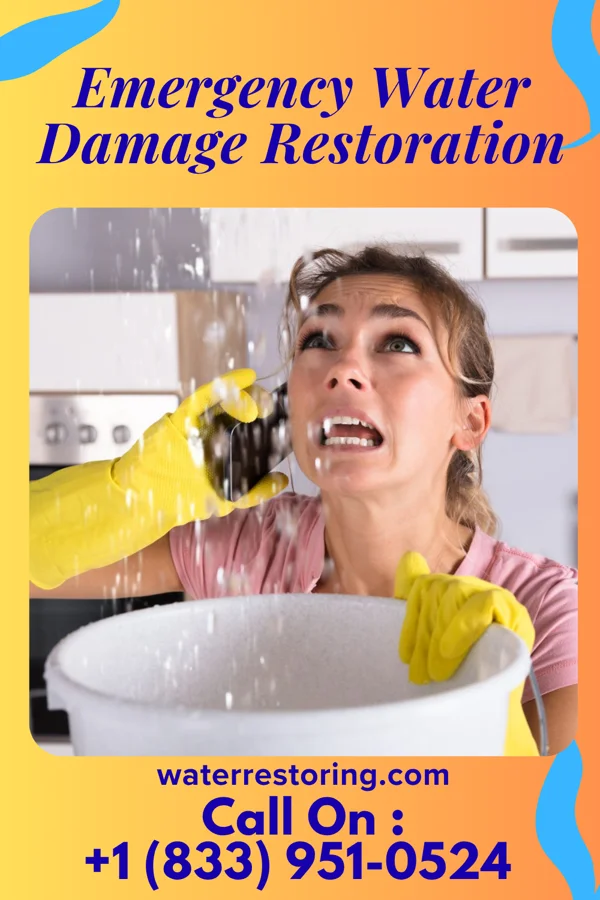 Emergency Water Damage Restoration in Rossmoor, NJ