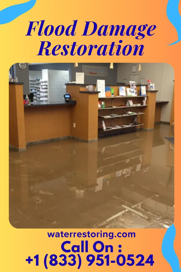 Flood Damage Restoration in Rossmoor, NJ