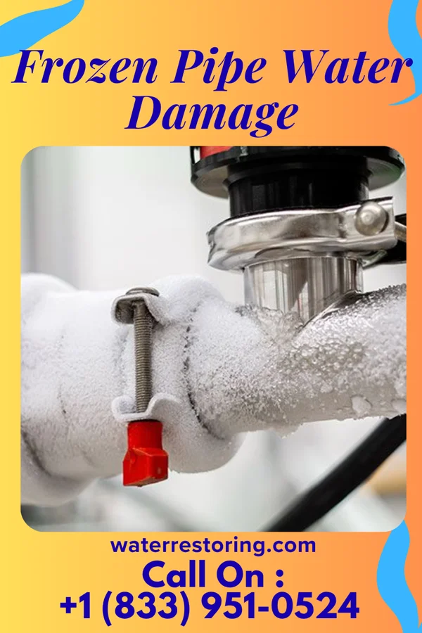 Frozen Pipe Water Damage in Rossmoor, NJ