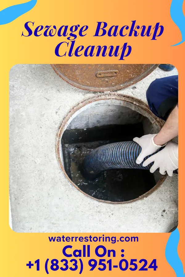Sewage Backup Cleanup in Rossmoor, NJ