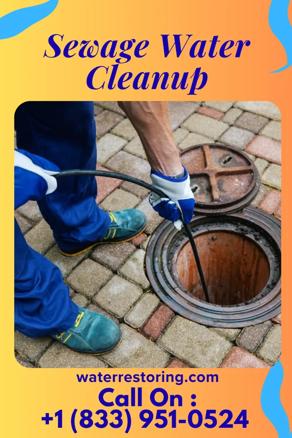 Sewage Water Cleanup in Rossmoor, NJ