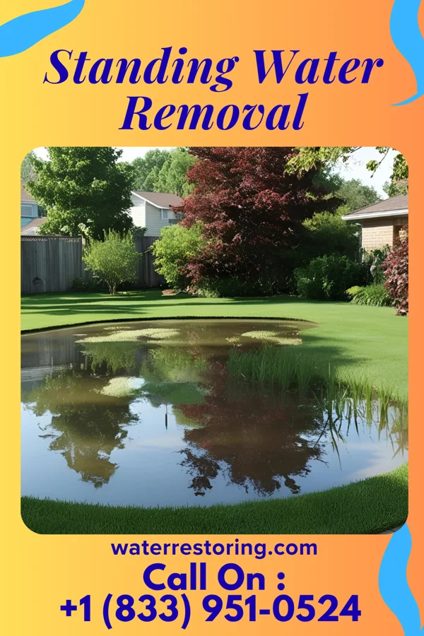 Standing Water Removal in Rossmoor, NJ
